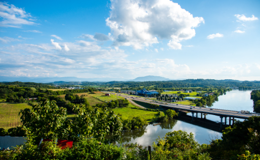 Backseat Giggles and Roadside Snacks