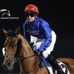 Is Hayley Turner in a Relationship